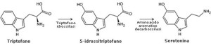 Serotonina