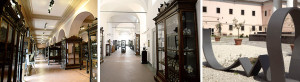 museo di anatomia