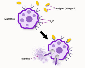 Sistema Immunitario