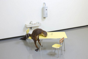 Maurizio Cattelan Bidibibodibiboo, 1996