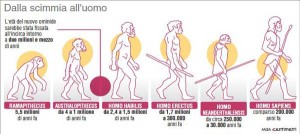 homo naledi