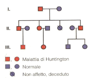 corea di huntington albero genealogico