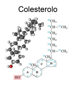 ipercolesterolemia