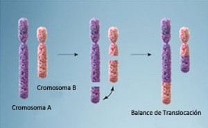 leucemia mieloide cronica