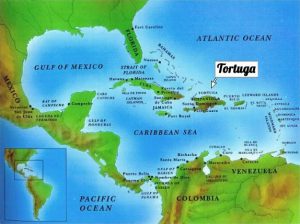 Tortuga America Centrale