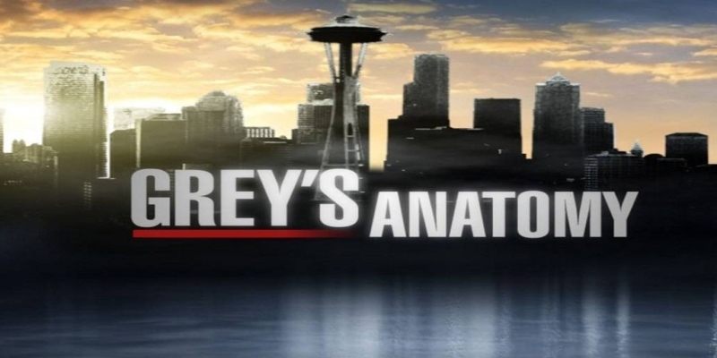Grey’s Anatomy, la vittoria piÃ¹ bella
