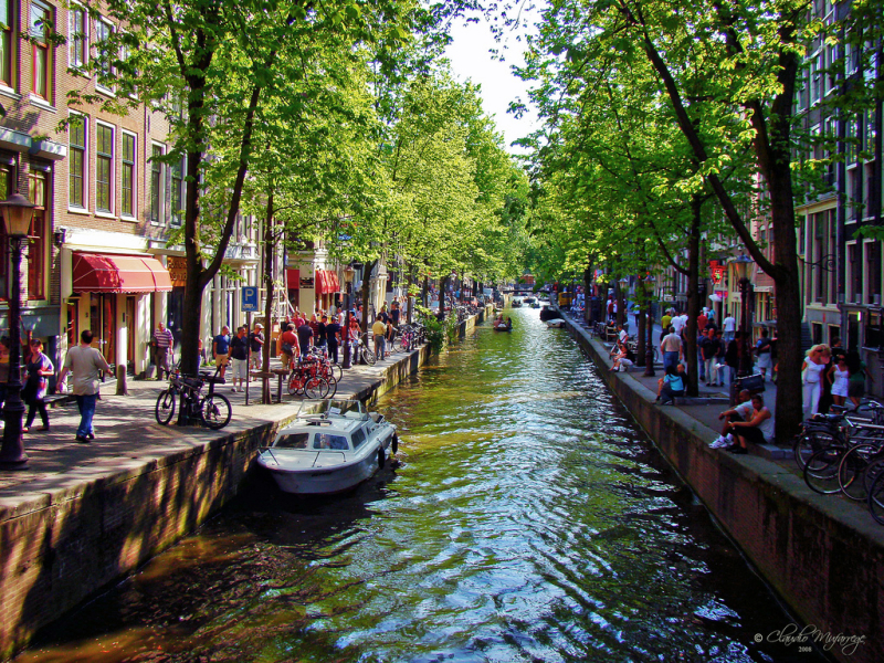 Amsterdam: l’arte tra Piazza Dam e Van Gogh Museum