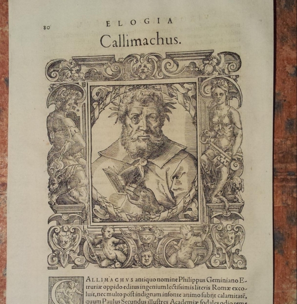 Callimaco e gli Aitia: un poeta per i poeti