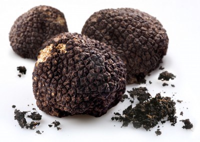 tartufi