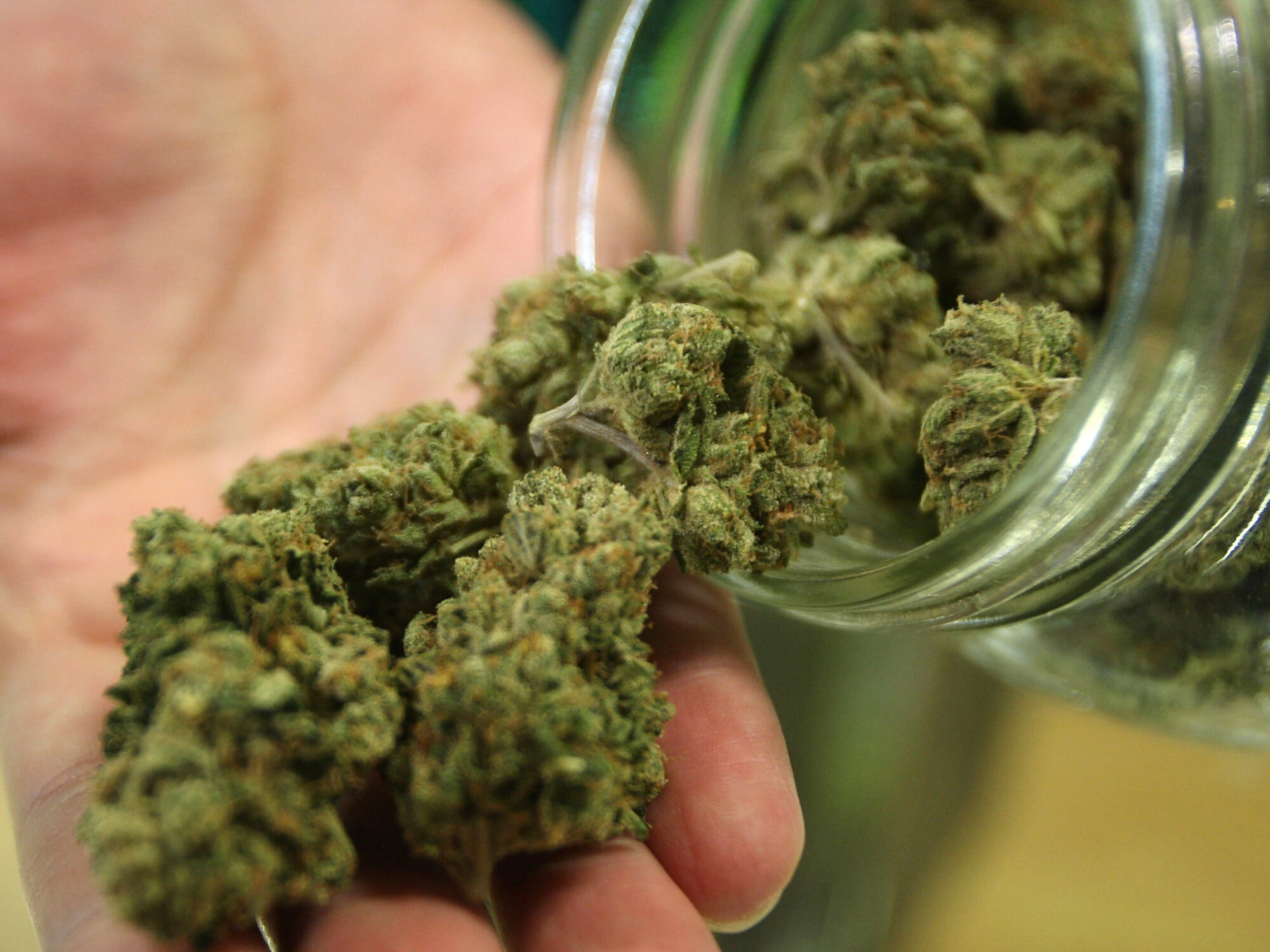 Marijuana: 114 volte meno pericolosa dell’alcool
