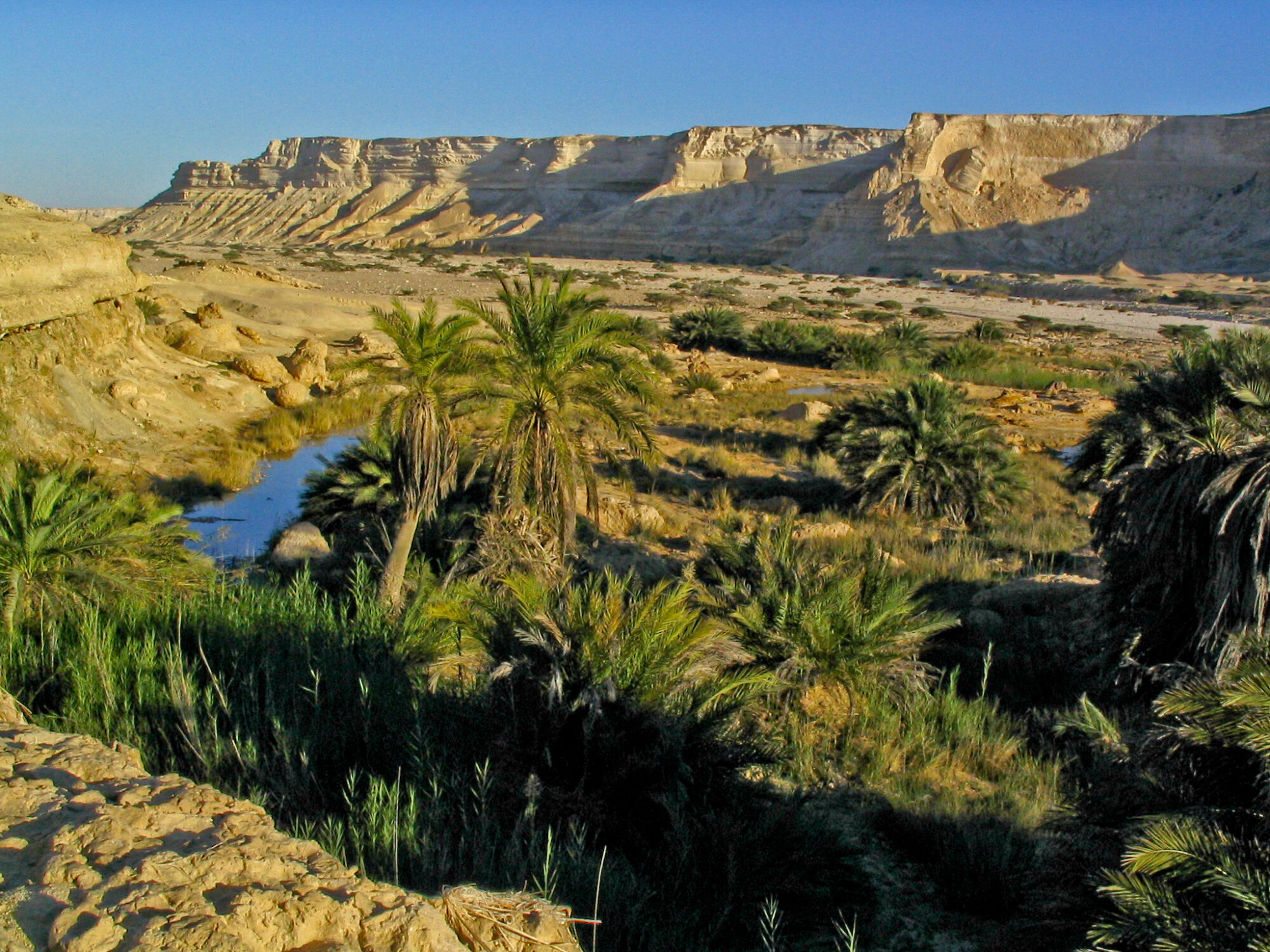 Oman