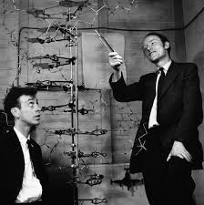 Watson e Crick