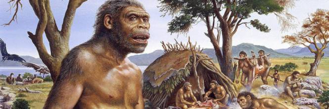 homo erectus