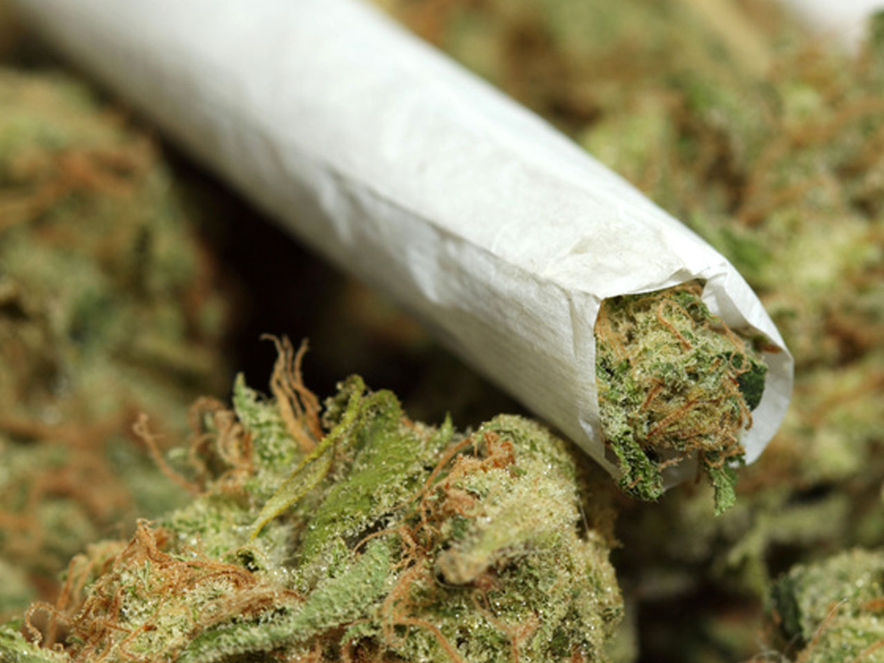 Marijuana: la veritÃ  sulla sostanza