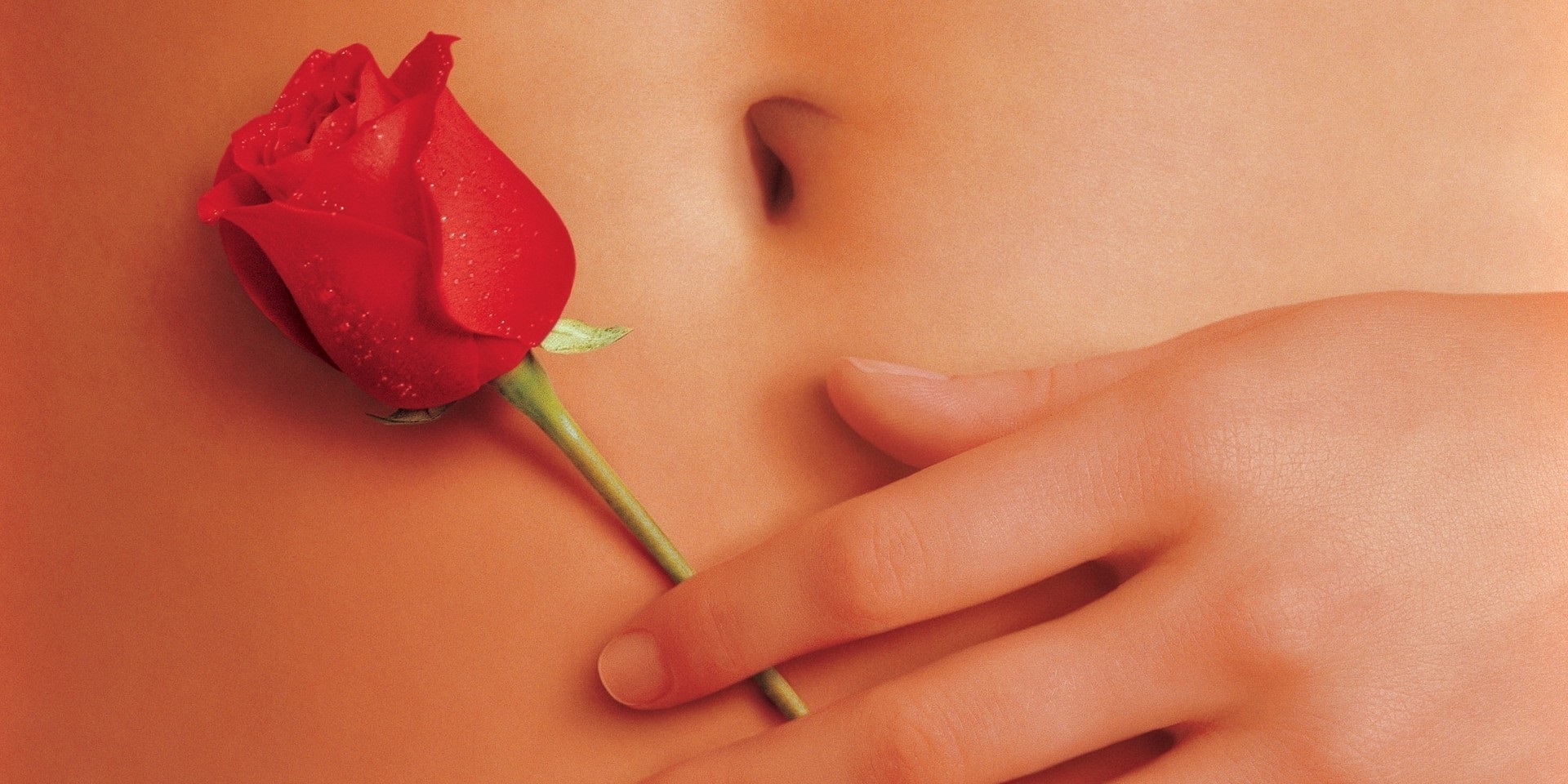 American Beauty