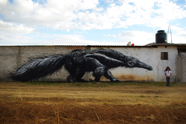 ROA