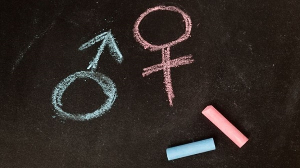gender theory