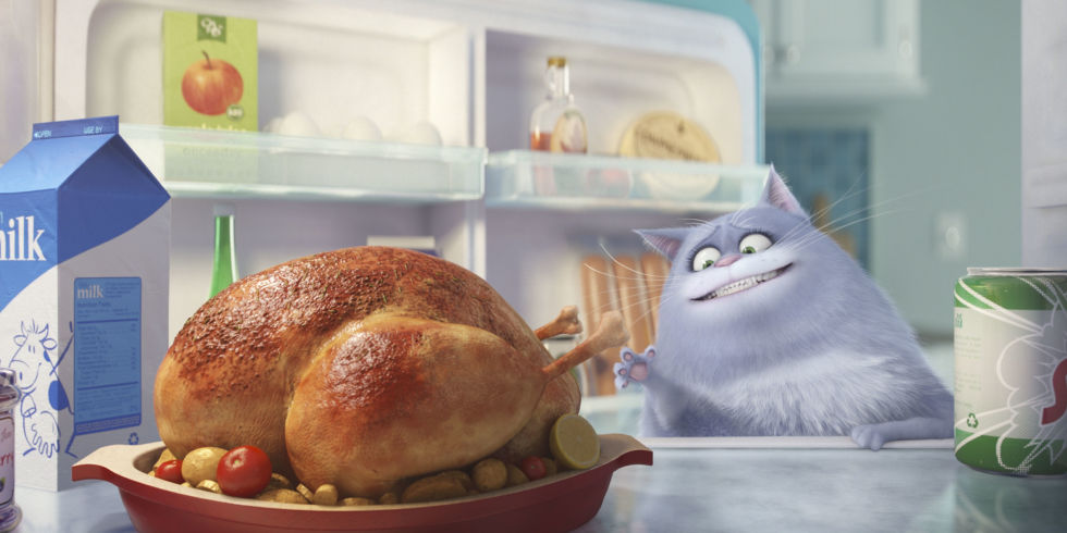 Da Minions a Pets: i film d’animazione da non perdere