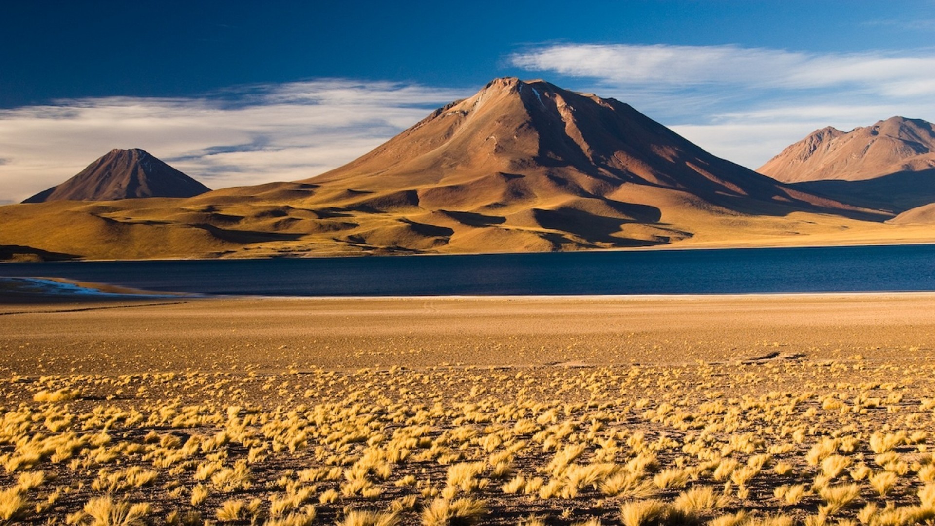 Luis SepÃºlveda e Le rose di Atacama
