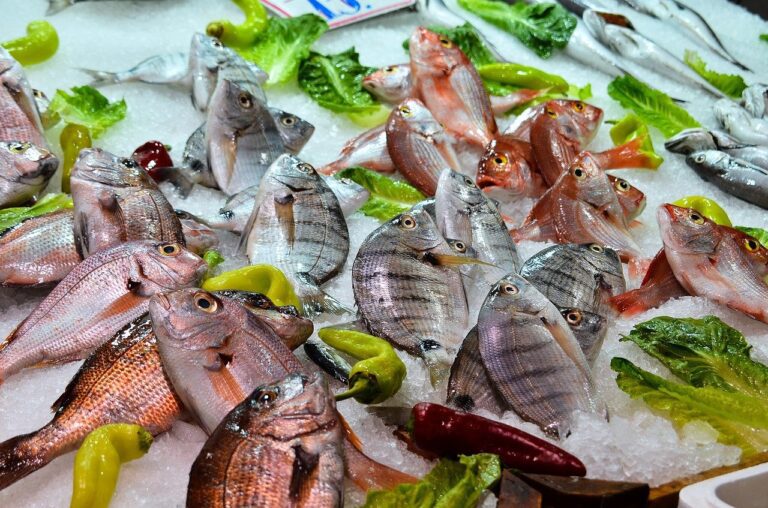 pesce cervello
