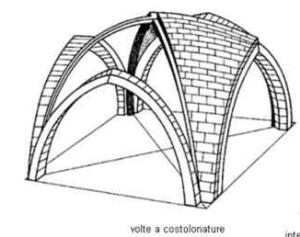 volta costolonata Notre Dame