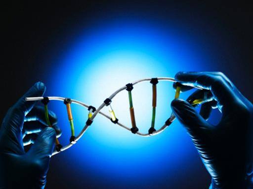 Terapia genica: bambina salva da leucemia