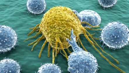 Immunoterapia: un’altra arma contro il cancro