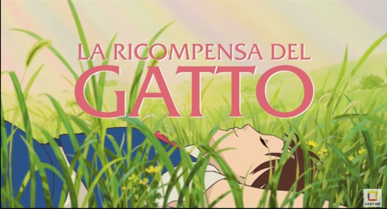 La ricompensa del gatto, una fantastica avventura