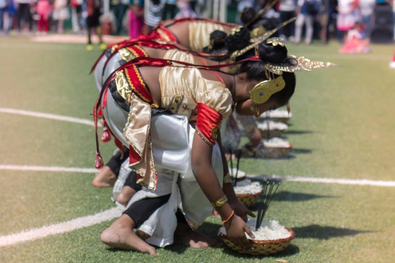Taprobane: la partita-performance d’arte