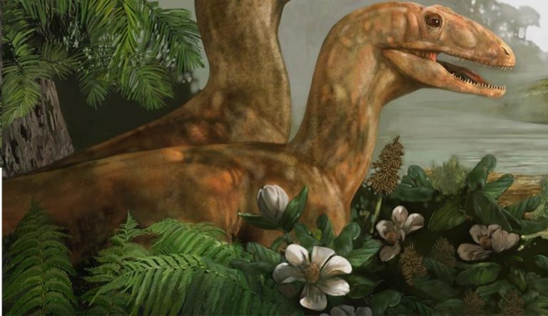Fiori preistorici nati al tempo dei dinosauri
