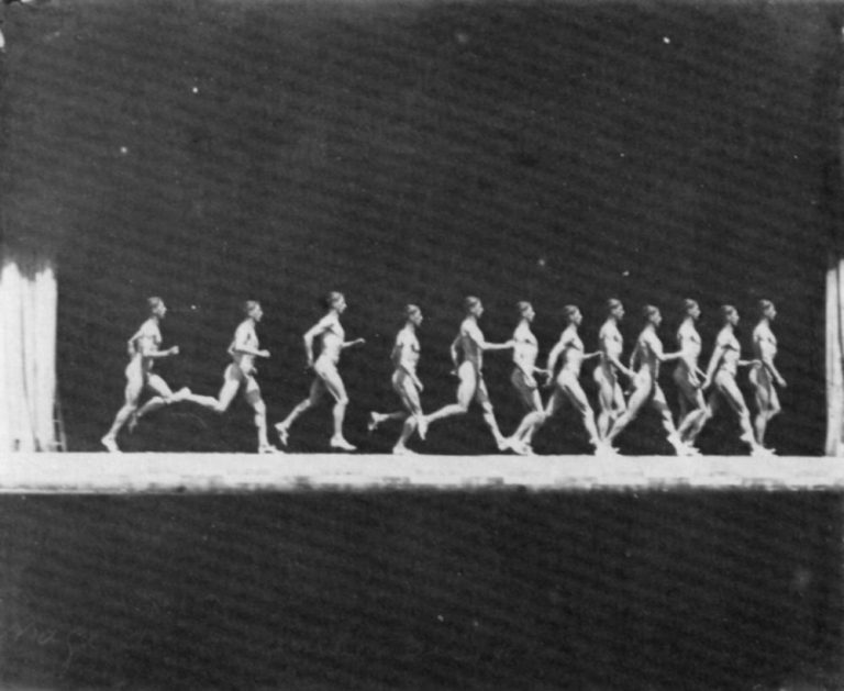 Muybridge
