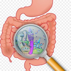 Microbiota