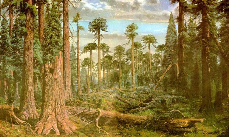 Le piante: storia di come hanno cambiato il mondo
