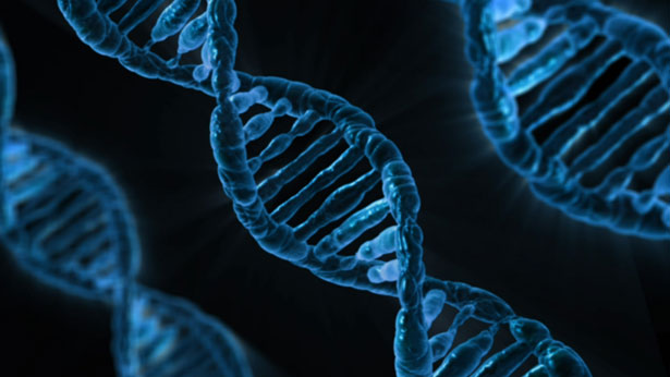 Dalla struttura del DNA alle informazioni per la vita
