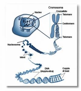 DNA