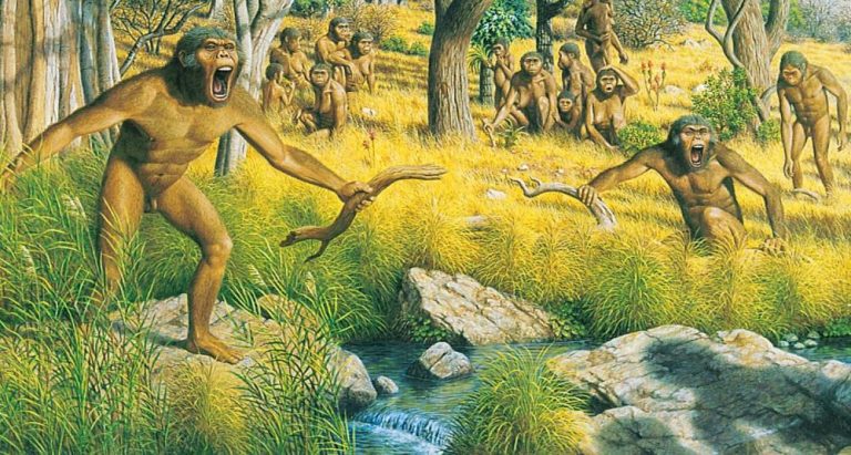 La scimmia acquatica: un probabile antenato