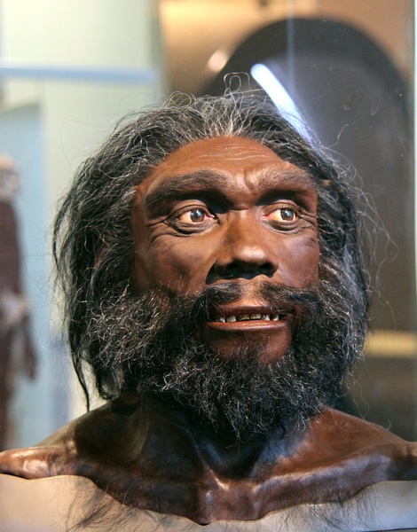 Homo heidelbergensis: artefice delle impronte sul Roccamonfina