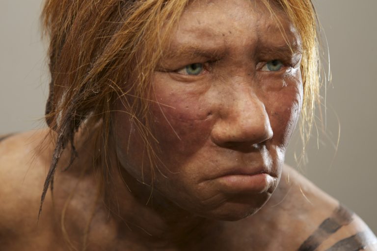 neanderthal