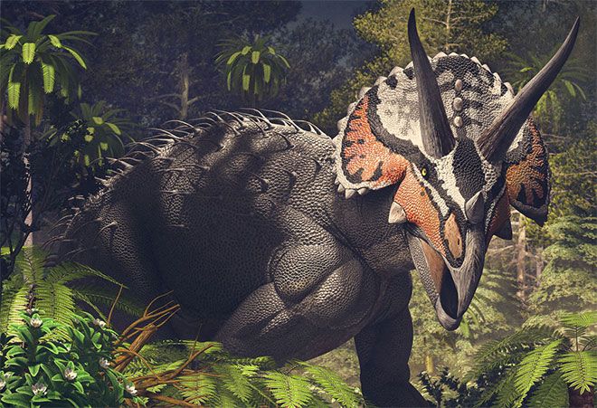 dinosauri