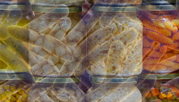 Botulino Come Riconoscerlo E Come Eliminarlo Dagli Alimenti Lacooltura