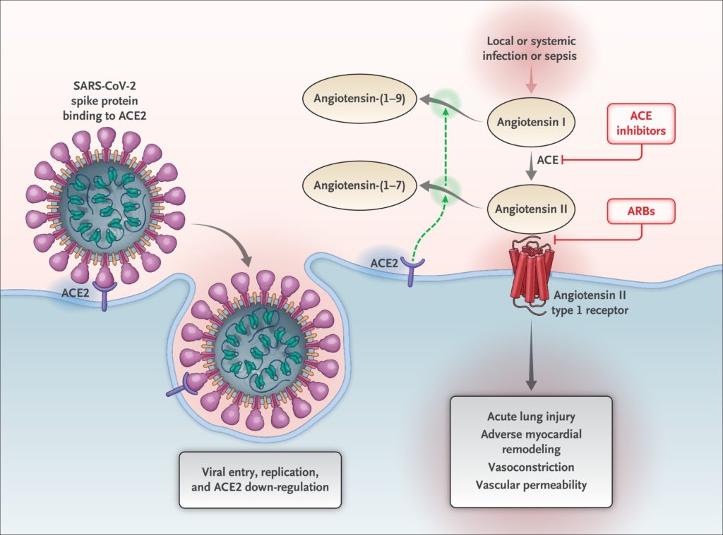 coronavirus