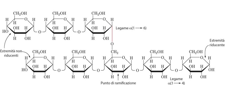 glicogenosi