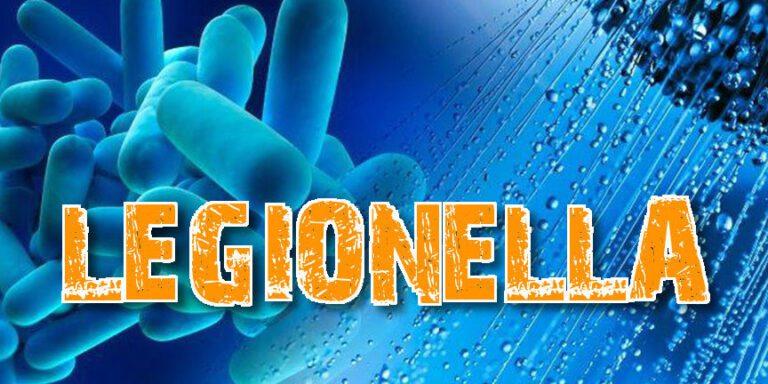 Legionella