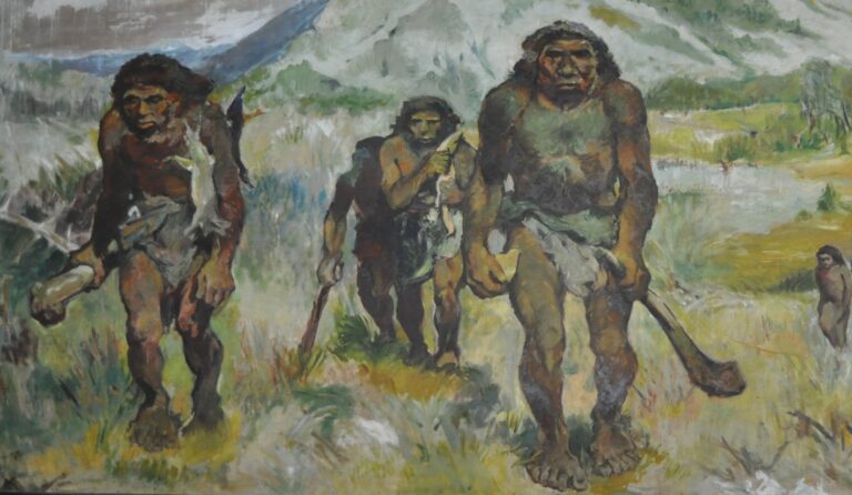 homo sapiens