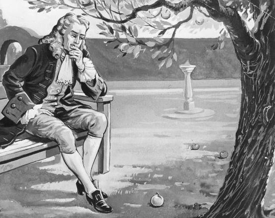 Newton