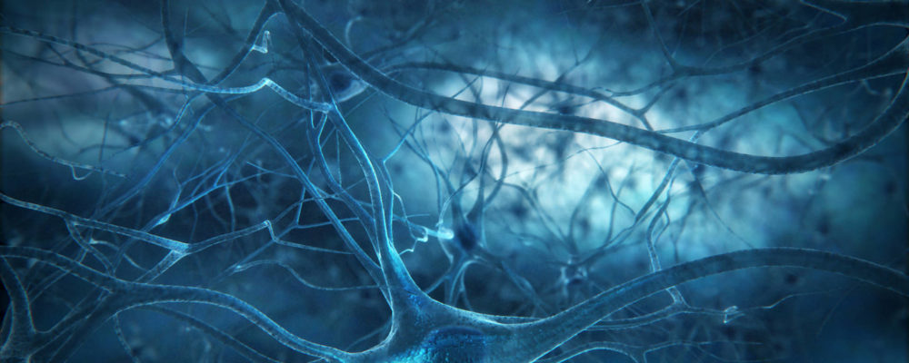 neuron-wallpapers